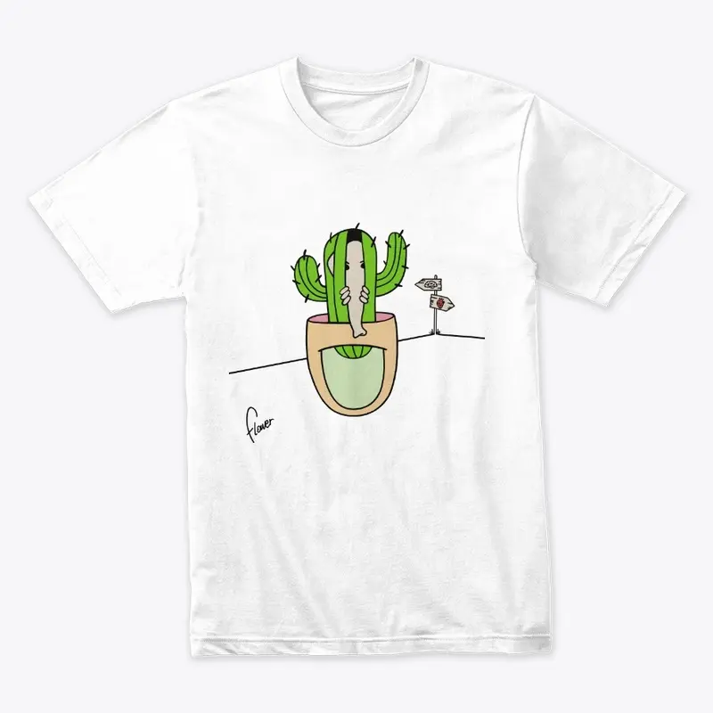 Story 16 - Cacti Collection 